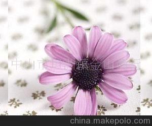 專業供應玻璃紙(重點推薦,歡迎來電咨詢)