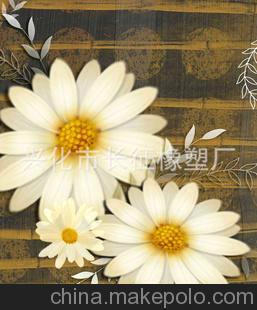 專業(yè)設(shè)計(jì)隔熱防紫外線家居玻璃貼紙磨砂玻璃紙