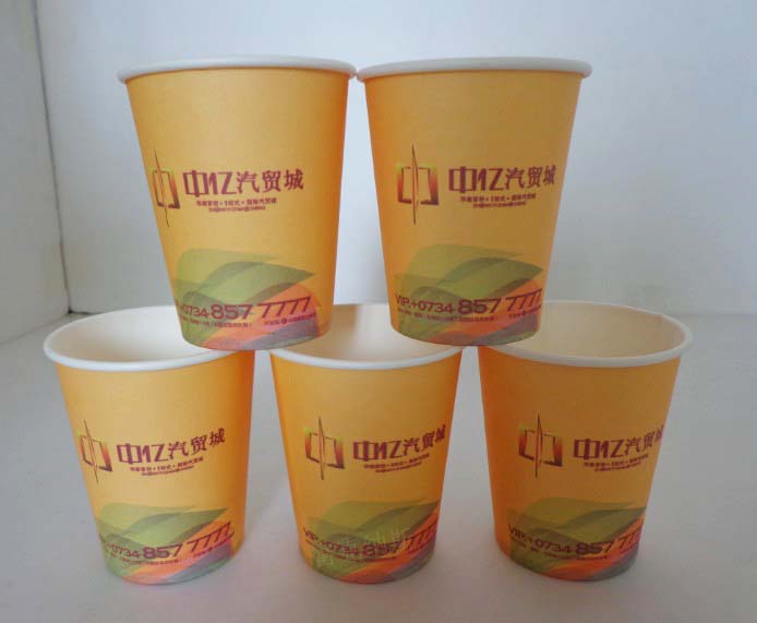 供應(yīng)懷化超低價(jià)定做一次性紙杯、廣告紙杯、試飲杯  廠家直銷(xiāo)