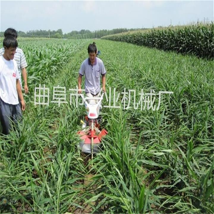 新款果園微耕機  柑橘挖溝開槽機  生姜種植開溝機