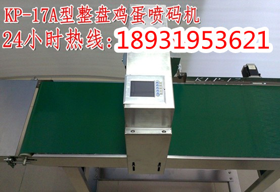 上海/天津/河北/北京/山東雞蛋噴碼機，雞蛋噴碼機價格