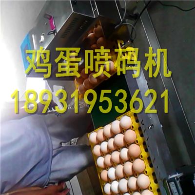 2015新款雞蛋噴碼機價格