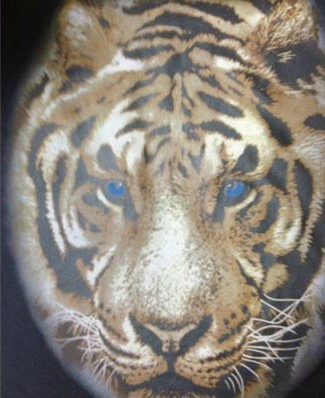 貴州印花材料批發(fā),認準宏奧印花材料廠家