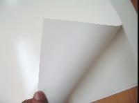 專業供應水轉印貼花底紙