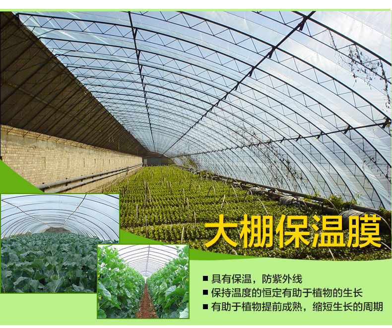 3829973443_835149848