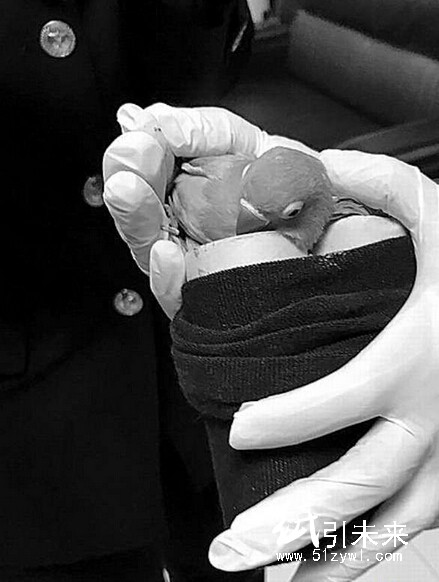 紙卷筒藏珍稀&ldquo;鸚鵡&rdquo;出境被汕頭海關查獲