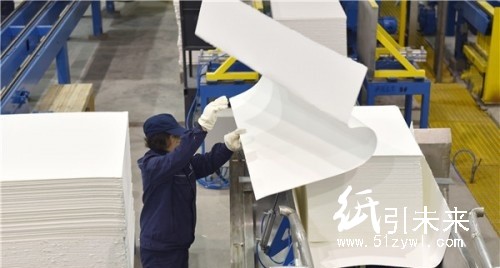 竹漿項(xiàng)目