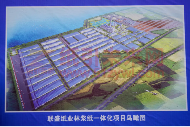 聯(lián)盛220億林紙一體化項目