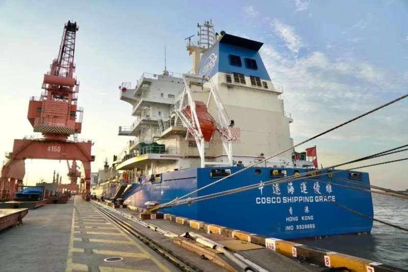 新紀(jì)錄!紙漿船晝夜接卸量被刷新4